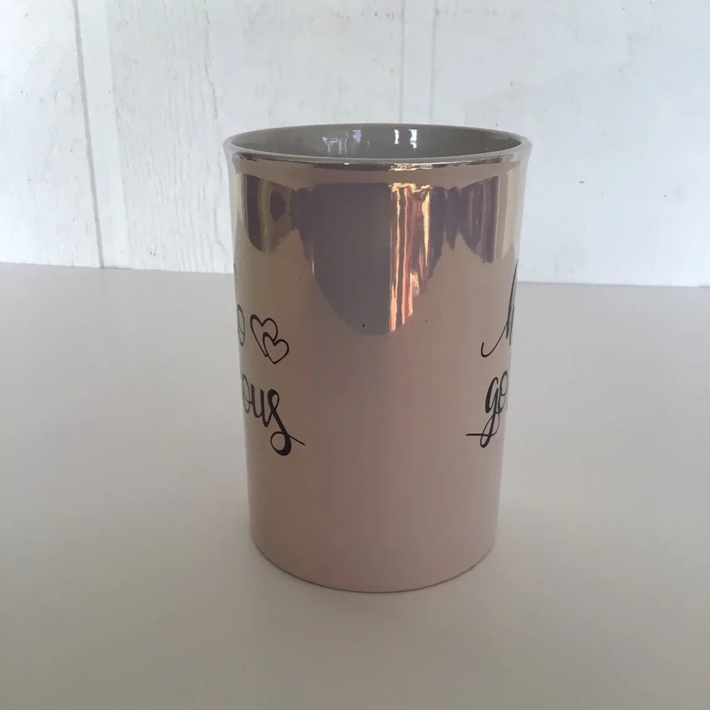 HELLO GORGEOUS MAKEUP BRUSH HOLDER NWT